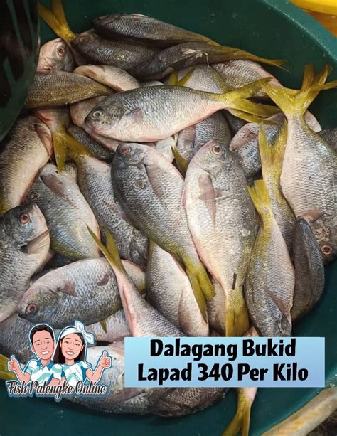 dalagang bukid fish